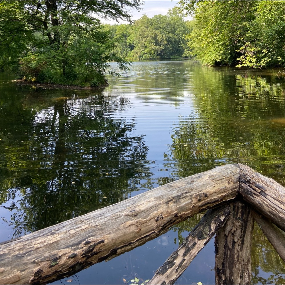 Meet your Posher, Adam